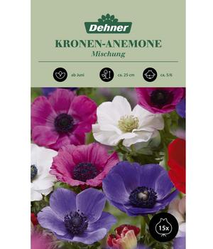 Dehner Blumenzwiebel Kronen-Anemone Mischung, 15 Stk.