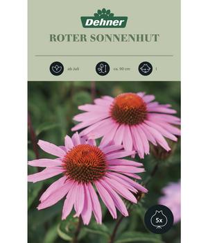 2 x Dehner Blumenzwiebel Roter Sonnenhut, 5 Stk., Pink, Rosa