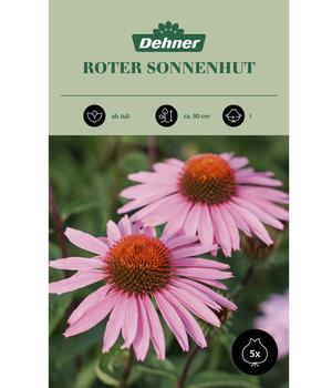 Dehner Blumenzwiebel Roter Sonnenhut, 5 Stk.