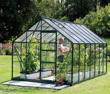 Vitavia Gewächshaus Neptun 11500, ESG/HKP, Dunkelgrün - Aluminium / Polycarbonat Sicherheitsglas