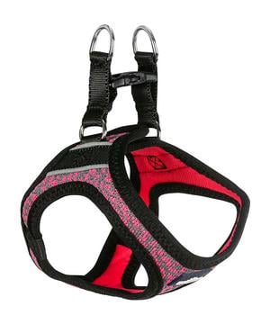 Dehner Premium Hundegeschirr Smaragd