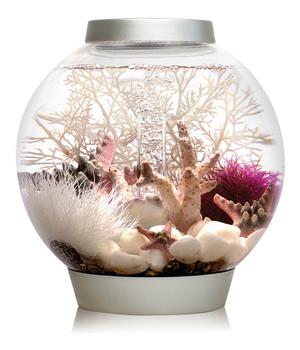 biOrb Aquarium CLASSIC 15 LED, Silber