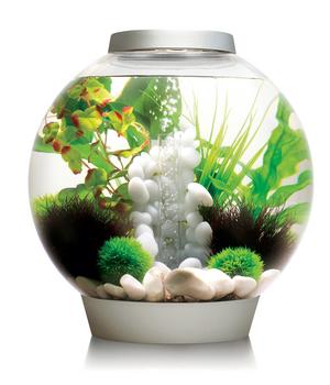 biOrb Aquarium CLASSIC 30 LED, Silber