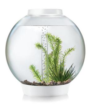 biOrb Aquarium CLASSIC 30 LED, Weiß