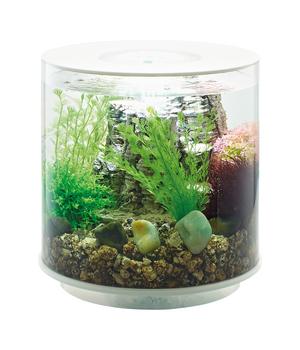 biOrb Aquarium TUBE 15 LED, Weiß