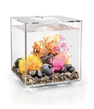 biOrb Aquarium CUBE 30 MCR, Transparent