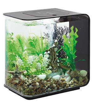 biOrb Aquarium FLOW 15 LED, Schwarz