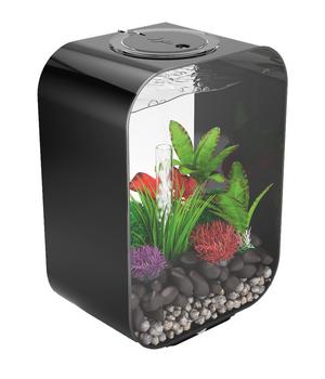 biOrb Aquarium LIFE 15 MCR, Schwarz