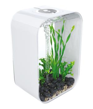 biOrb Aquarium LIFE 45 MCR, Weiß