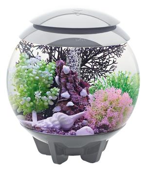 biOrb Aquarium HALO 15 MCR, Grau