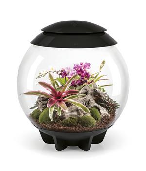 biOrb Terrarium AIR 60, Schwarz