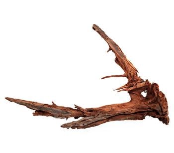 Dehner Aqua Mangrovenwurzel X-large