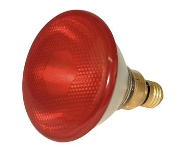 2 x KERBL Infrarot Sparlampe PAR38 - Mindestbestellmenge: 2 Stk.