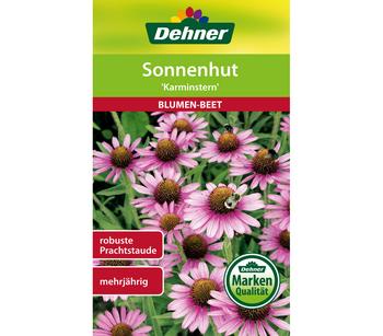 2 x Dehner Samen Sonnenhut 'Karminstern', Rosa - Mindestbestellmenge: 2 Stk.