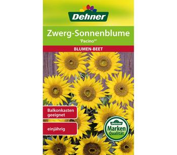 Dehner Samen Zwerg-Sonnenblume Pacino