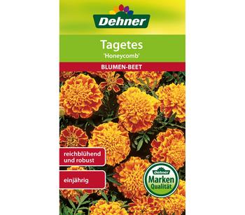 Dehner Samen Tagetes 'Honeycomb', Gelb / Dunkelrot