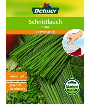Dehner Saatscheibe Schnittlauch 'Staro', 3 Stück