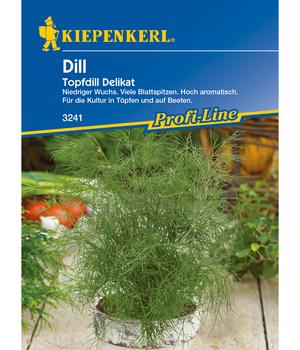 Kiepenkerl Saatgut Dill 'Delikat Topfdill'