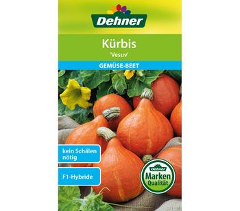 Dehner Samen Kürbis 'Vesuv'