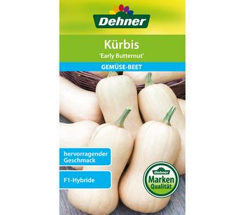 Dehner Samen Kürbis 'Early Butternut'