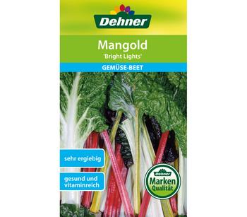 Dehner Samen Mangold 'Bright Lights'