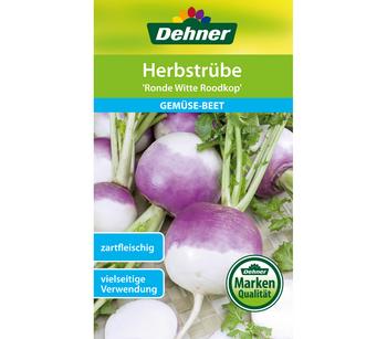 Dehner Samen Herbstrübe 'Ronde Witte Roodkop'