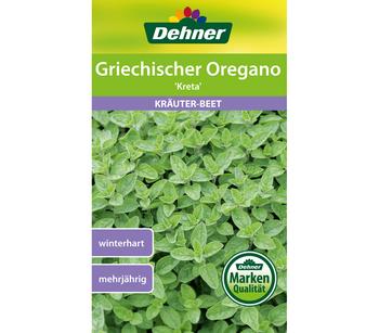 Dehner Samen Griechischer Oregano 'Kreta'