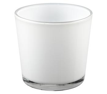 Dehner Glas-Übertopf Conner, konisch