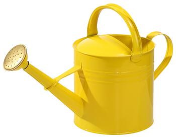 Dehner Zink-Gießkanne, 5 l, Gelb - Stahl
