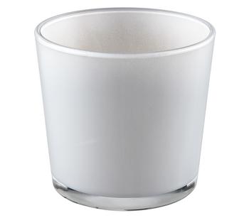 3 x Dehner Glas-Übertopf Blumentopf Conner, konisch, Hellgrau - Glas - Mindestbestellmenge: 3 Stk.