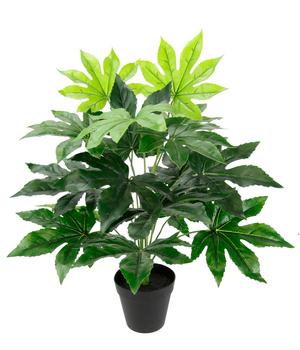 I.GE.A. Kunstpflanze Aralie im Kunststoff-Topf, ca. H60 cm