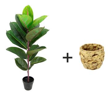 I.GE.A. Kunstpflanze Gummibaum im | Dehner