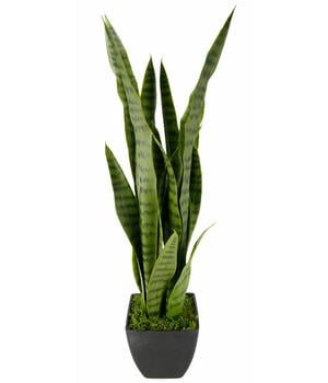 I.GE.A. Kunstpflanze Sansevieria im Kunststoff-Topf, ca. H75 cm