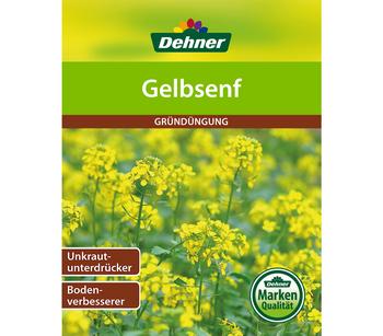 Dehner Gründüngung Gelbsenf