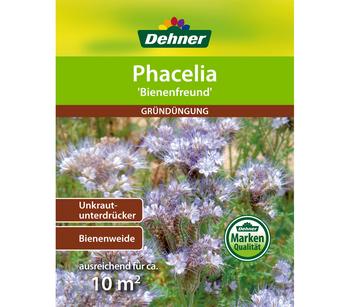 Dehner Gründüngung Phacelia Allround