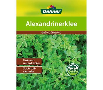 Dehner Gründüngung Alexandrinerklee