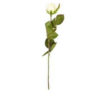 Dehner Kunstblume Rose Kolumbia, 43 cm, Creme - Textilien