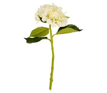 3 x Dehner Kunstblume Hortensie, 47 cm, Creme - Textilien - Mindestbestellmenge: 3 Stk.