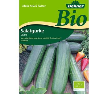 2 x Dehner Bio-Samen Salatgurken 'Sonja' - Mindestbestellmenge: 2 Stk.