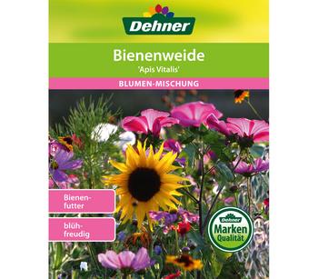 Dehner Samen Blumenmischung 'Bienenweide'