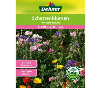 Dehner Samen Blumenmischung 'Schattenblumen'