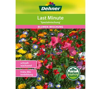 Dehner Samen Blumenmischung 'Last Minute'