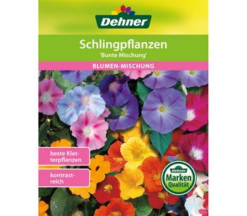 Dehner Samen Blumenmischung 'Schlingpflanzen'