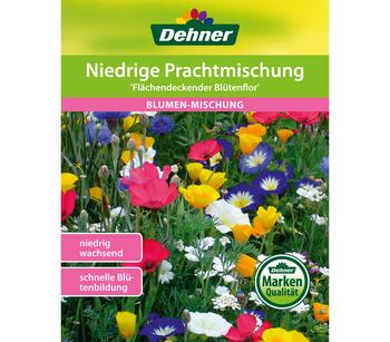 Dehner Samen Blumenmischung 'Niedrige Prachtmischung', Bunt