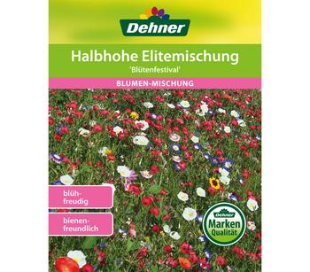 Dehner Samen Blumenmischung 'Halbhohe Elitemischung', Bunt