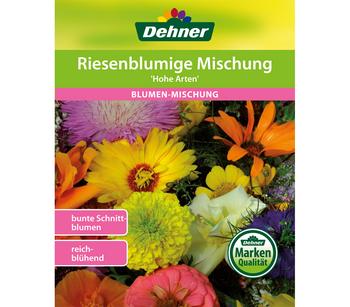 Dehner Samen Blumenmischung 'Hohe riesenblumige Prachtmischung'