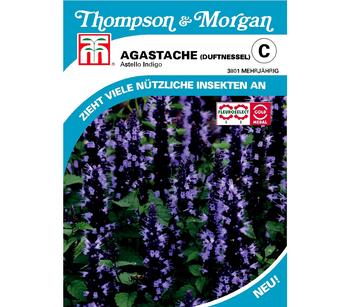 Thompson & Morgan Samen Duftnessel 'Astello Indigo'