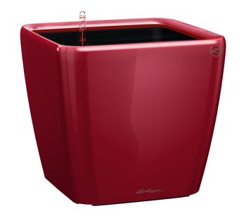 LECHUZA QUADRO LS, All-in-One-Set, Dunkelrot - Kunststoff