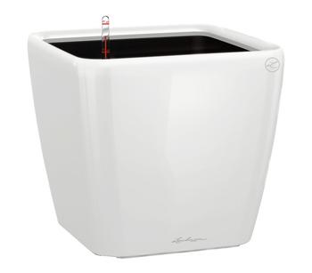 LECHUZA QUADRO LS, All-in-One-Set, Weiß - Kunststoff