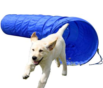 dobar® petlife Agility Tunnel, ca. Ø50/L300 cm